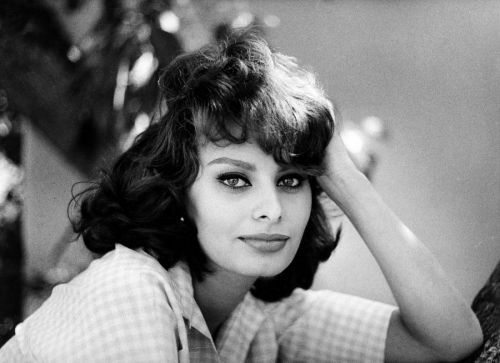 Sofia Loren