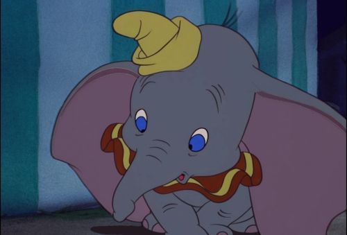 Dumbo