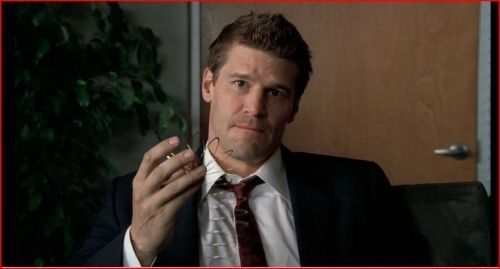 Seeley Booth (Bones)